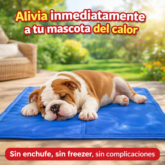 Colchón Refrescante para Perros y Gatos – Control de Temperatura – Frescura Continua Todo el Día